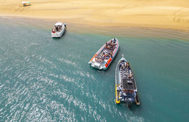 Villa Dreams - Foto 45