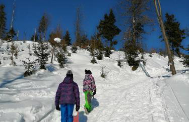 Górskie Siedlisko - 3 Chaty - Foto 71