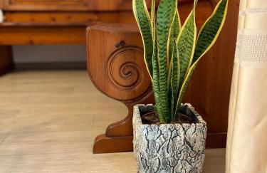 CASA MIA MALVA - Photo 34