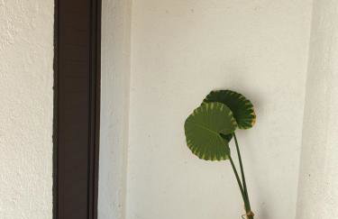 Two Olives - Foto 34