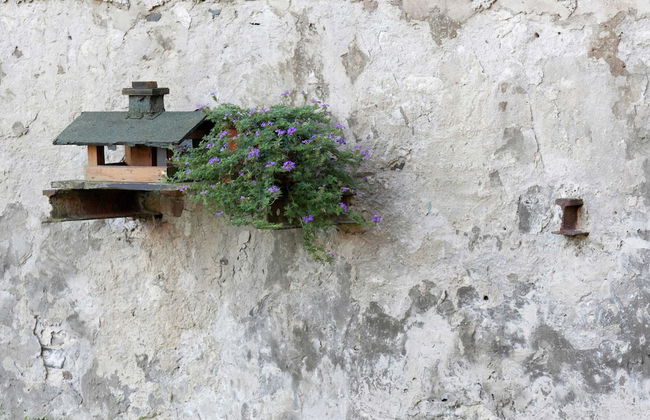 Apartment in Allrode With Terrace - Photo 24