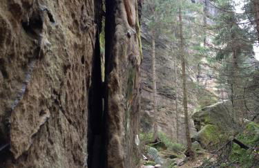 Ferienwohnung Paul - Photo 17