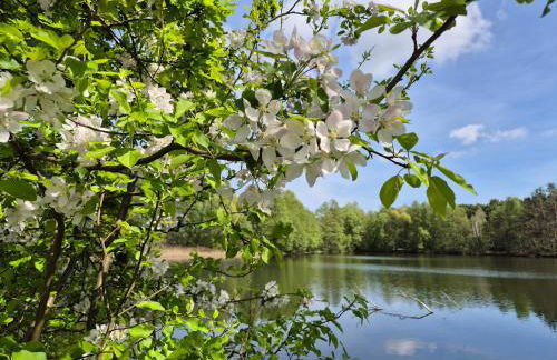 Am Storchennest - Foto 8