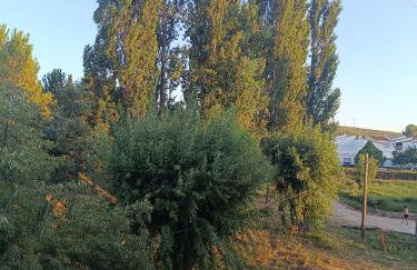 Casa Boutique ALEGRÍA - Foto 41