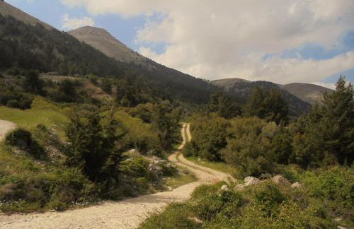 Ataviros Hotel - Foto 39