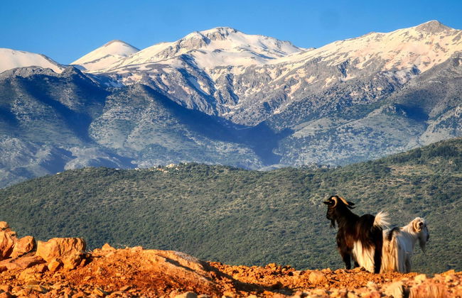 Areti Hotel - Foto 56