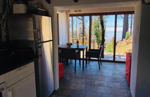 Bodega Linda - Foto 11