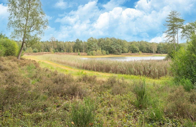 Holiday Home in Reest Valley Near Forest & Pond - Foto 43