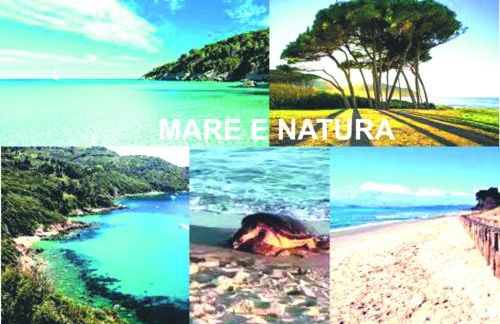 Etrusca shabby chic apartment - Tuscany - Venturina Terme - Foto 37