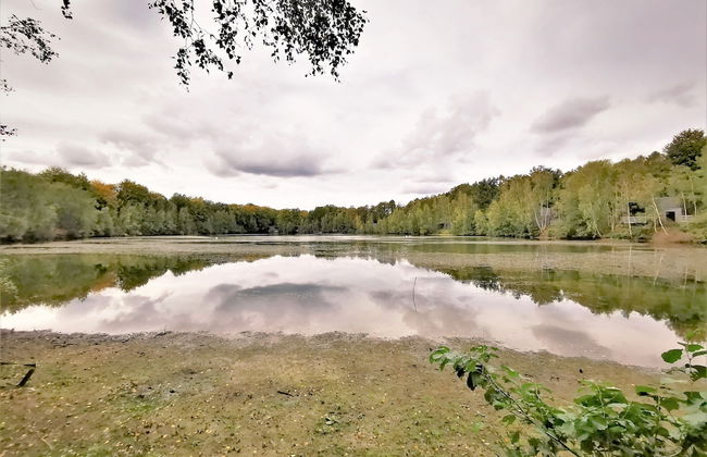 Treeloft Adventure in Nature for 4 People 17 - Foto 20