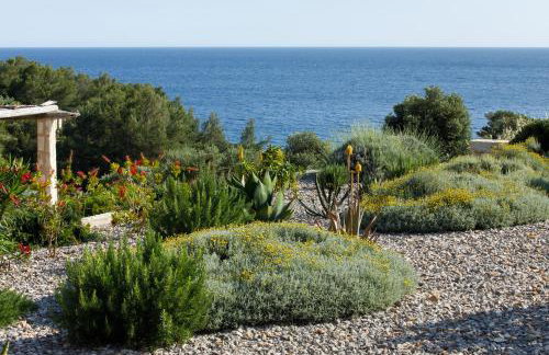 Villa Vito - Photo 20