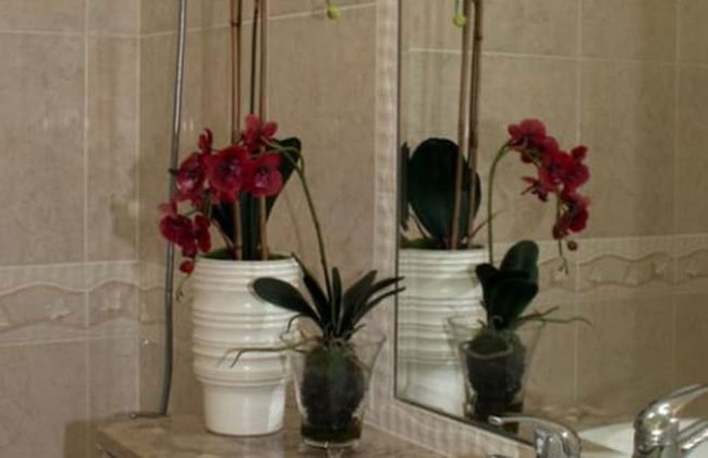 Capitalmoura Mouragolf Village - Photo 28