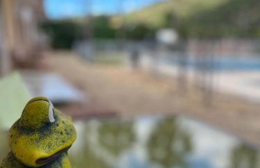 Casa Rural las Rosas de Benaojan - Photo 51