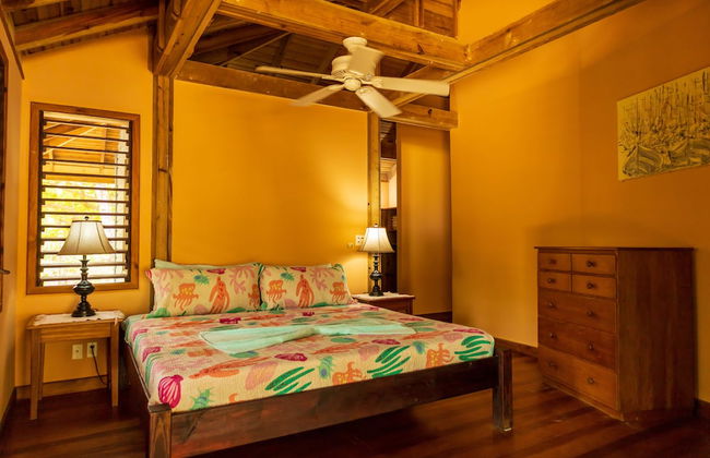 Tropical Breeze - Foto 17