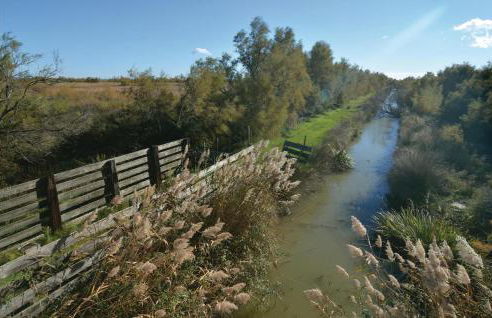 Le Cyprès - Foto 34