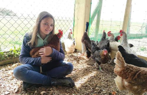 Ferienhof Veit - Foto 26