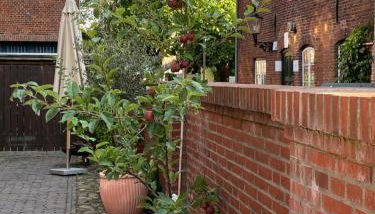 Das Eulennest - Wohnen in historischem Ambiente - Foto 4