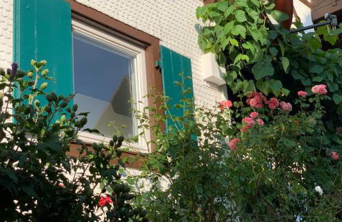 Ferienwohnung Hilseneckle - Foto 29