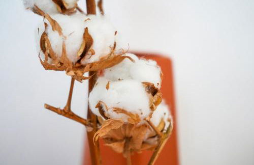 Villa Casa Mia - BY PRIMO C0NCIERGERIE - Foto 27