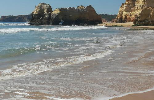 Apartamento Jeni Residencia Flamingo - Photo 28