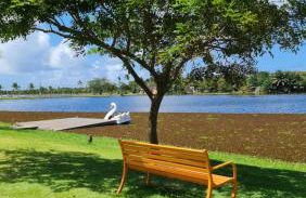 Apartamento espetacular na MELHOR praia da Bahia, GUARAJUBA é uma das únicas praias com selo azul do Brasil -Luxo, lazer, diversão e tranquilidade! Projetado para que você tenha a melhor experiência em hospedagem - Condominio tipo resort, o mais procurado - Foto 50