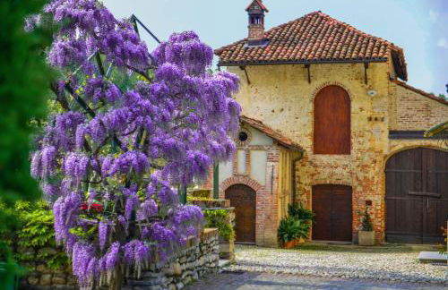 Cascina Bringin - Photo 41