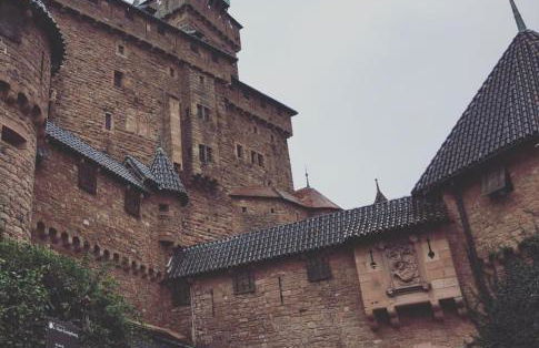 Gîte Magnolia Châtenois ALSACE - Foto 20