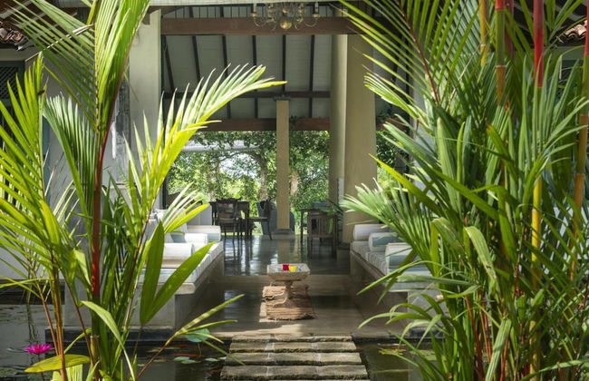 08 Acre Private Tea Estate Close To Galle - Photo 8