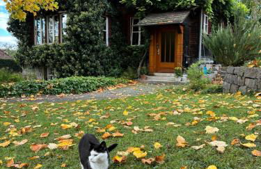 Ferienwohnung Unterm Tulpenbaum - Foto 25