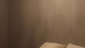 La Maison d'Ailleurs - Photo 5