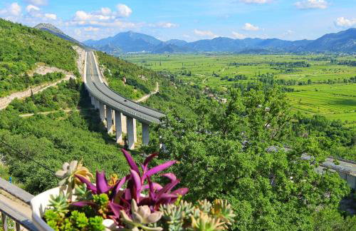 Apartman Maslina - Foto 1