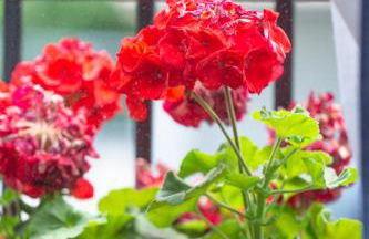 Aresti Old Town by Bilbao Living - Photo 55