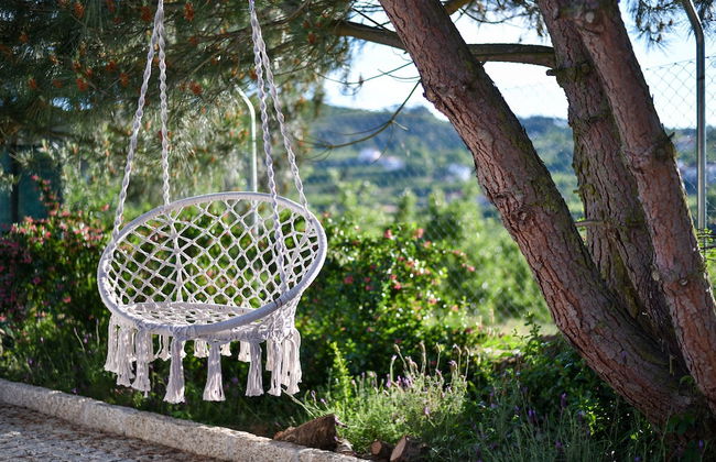 Feel Discovery Maçã Douro - Foto 19