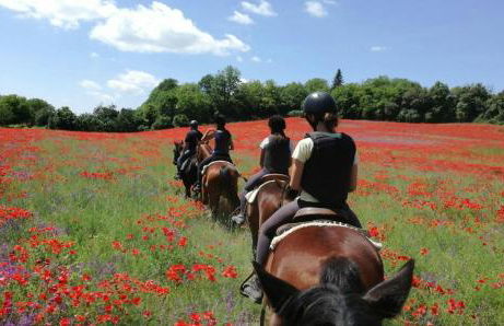 Agriturismo San Filippo - Foto 26