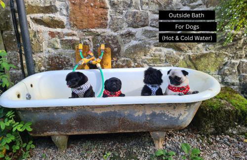 Puddleduck Valley - Dog Friendly - Foto 16