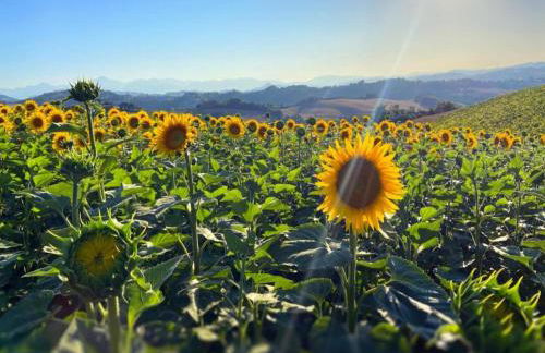 Apartment in Esanatoglia Near Apennines Trails - Foto 68