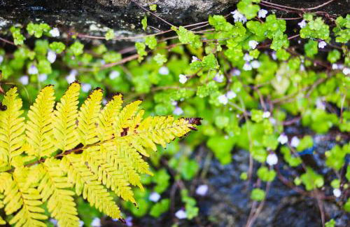 Casa da Portada - Foto 16