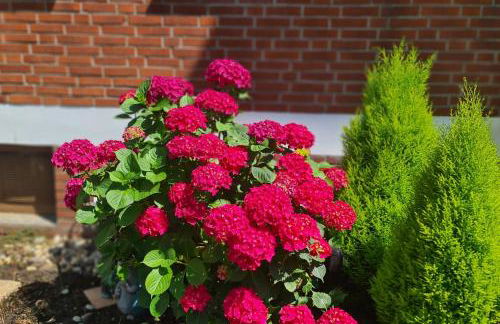 Ferienwohnung "Erika" Rees am Niederrhein - Foto 7