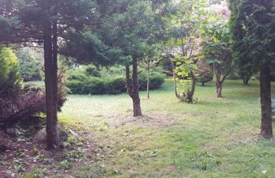 Domek w otulinie Wigierskiego Parku Narodowego - Foto 6