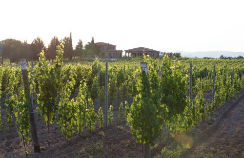 Agriturismo Poggio al Tufo - Foto 89