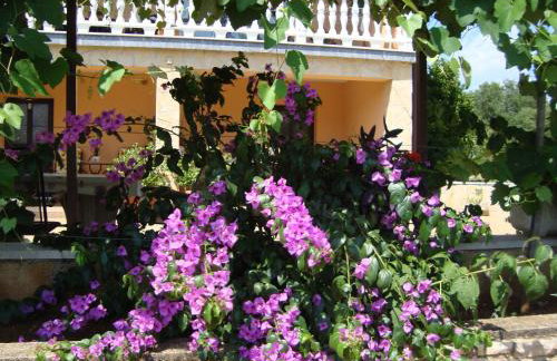 Apartments Alice Green Oasis - - Foto 42