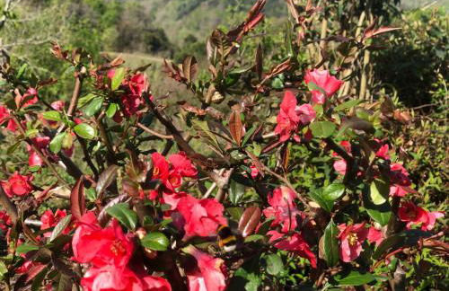 Casita con encanto, junto a Comillas - Photo 22