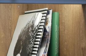 Casa Bellavista - Pace e Campagna Vicino al Centro - Photo 19