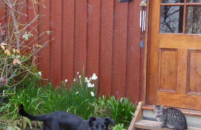 Platypus Park Country Retreat - Foto 38