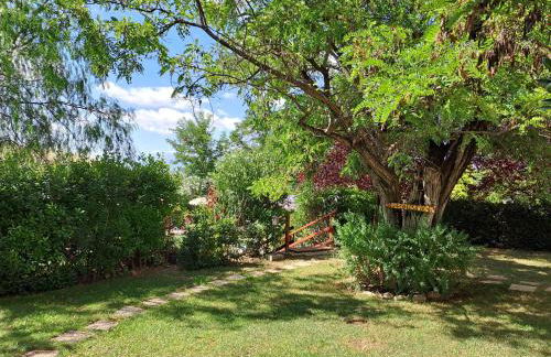 Agriturismo Fattoria colle Luca - Foto 49