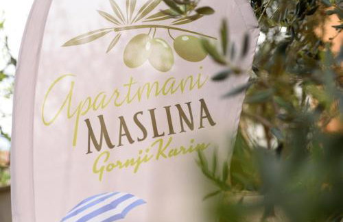 Studio Apartment Maslina - Photo 2