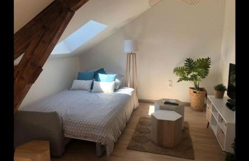 Chez Gustave charmant T2, 4 min place Ducale - Foto 20