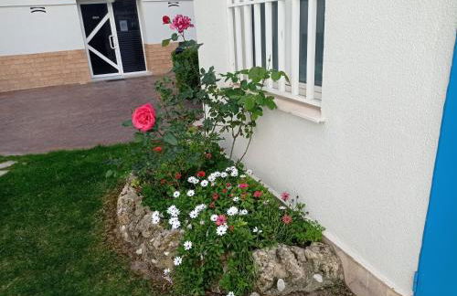 Palmeras III Solo Familias Serviplaya!!! - Foto 30