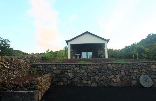 Vila Paim - Photo 59