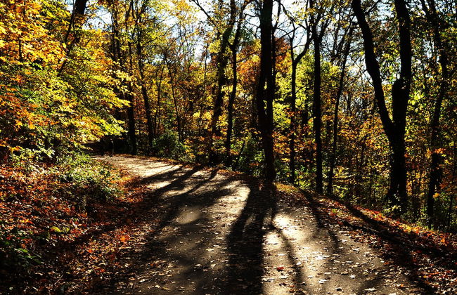 Parson's Retreat - Foto 24